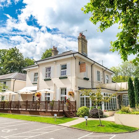 Forest Lodge Hotel Lyndhurst Buitenkant foto